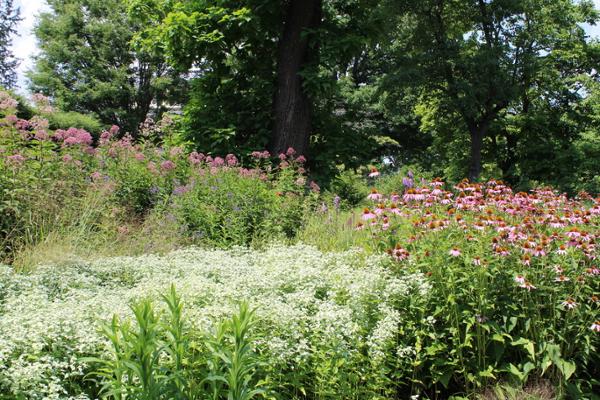 Beatrix Farrand Garden Association